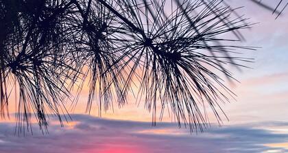 Varaus vuodelle 2020 pian! / Yksityinen ranta / 2 parkkipaikkaa / Kävele kaikkeen