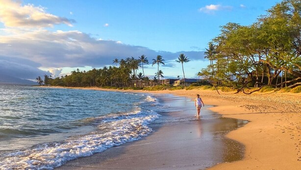 A beach with a person walking along the shore, palm trees, and a clear sky. - OCEANFRONT CONDO MAUI SUNSET#215-A, SLEEPS 4 (Kihei)