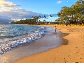 A beach with a person walking along the shore, palm trees, and a clear sky.