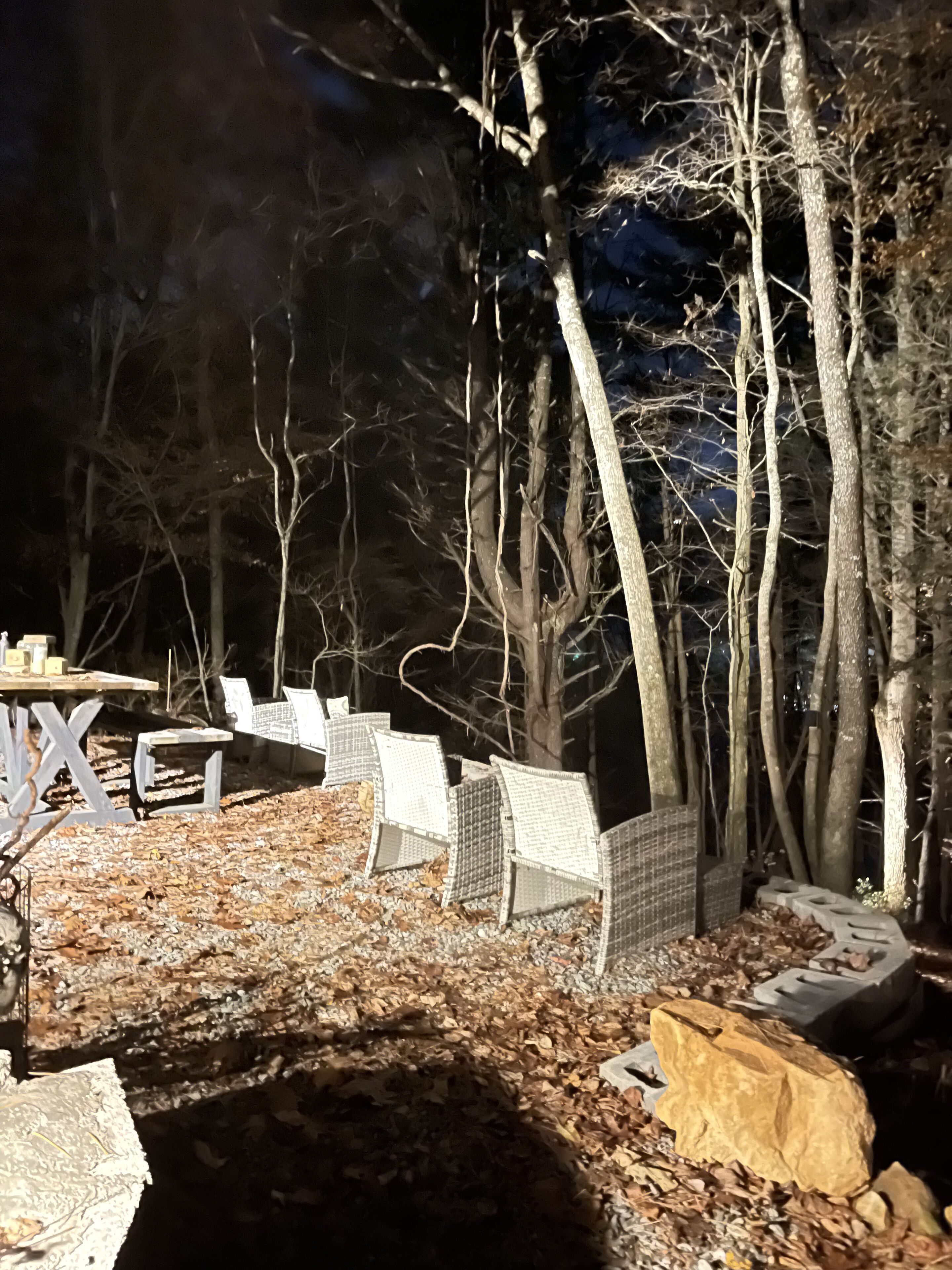 Ein Campingplatz mit Tisch und Stühlen, umgeben von Bäumen und bedeckt mit Herbstlaub.