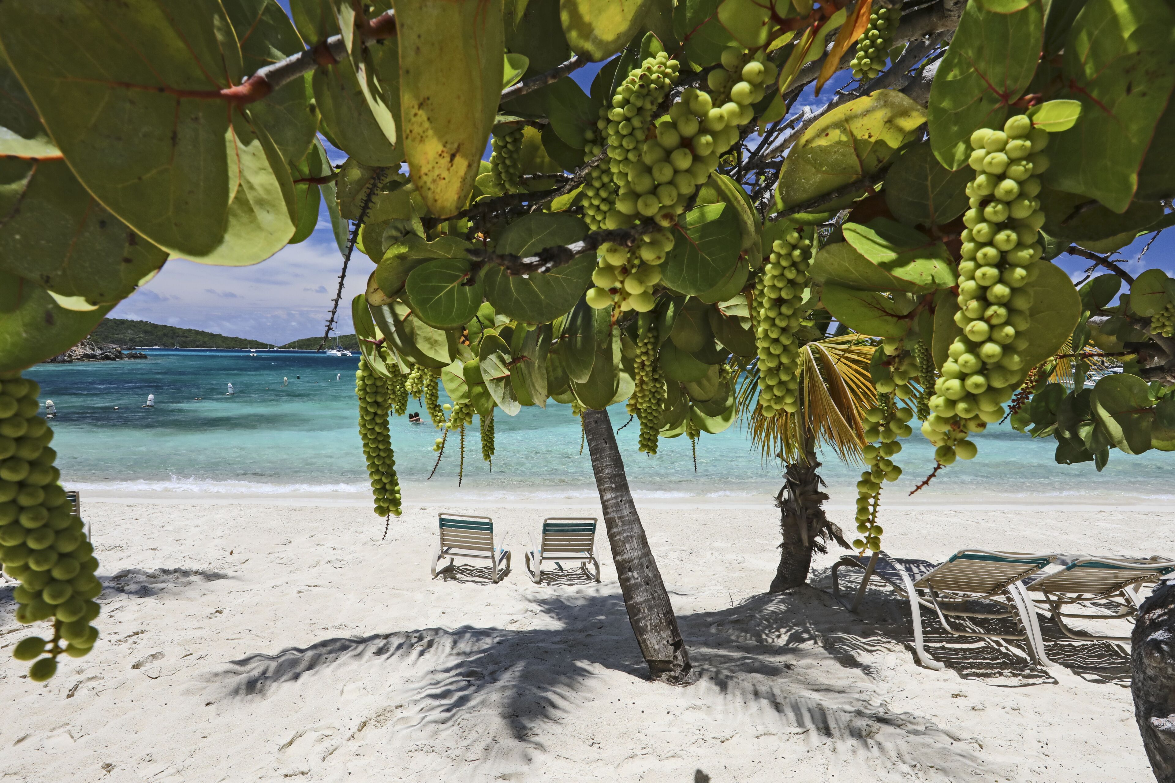 På stranden, solsenger og strandhåndklær