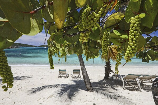 On the beach, sun loungers, beach towels