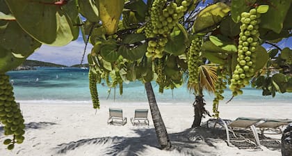 Sapphire Beachfront! | Super sauber und innen aktualisiert | Schöner Ort