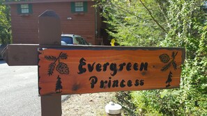 Property grounds - 10 min to Dollywood/Cal Ripken Field, Firepit, Foosball, Hot Tub, Private (Sevierville)