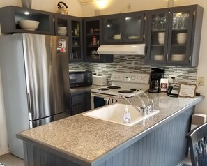 Kühlschrank, Mikrowelle, Herdplatte, Geschirrspüler