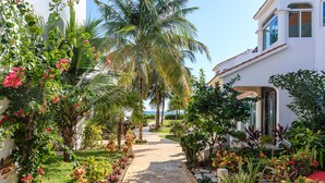 A pathway leading to a house surrounded by lush tropical plants and palm trees. - Views, Views, Views!! (Puerto Morelos)