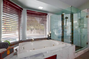 Combined shower/bathtub, jetted bath, hair dryer, towels - Big Family Friendly Home, HUGE Gameroom, By Sprng Training, Golf & Cardinals (Peoria)
