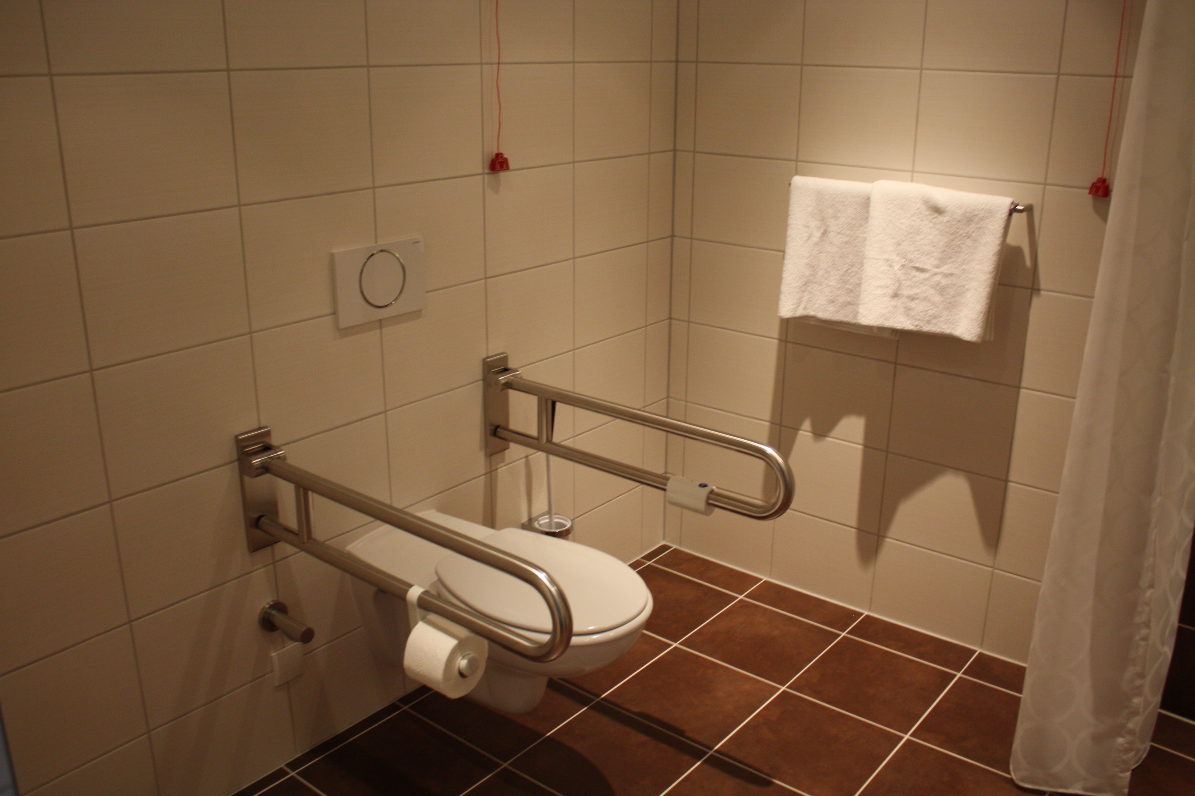 Un bagno con il water bianco, un mancorrente, un porta asciugamani e una tenda per la doccia.