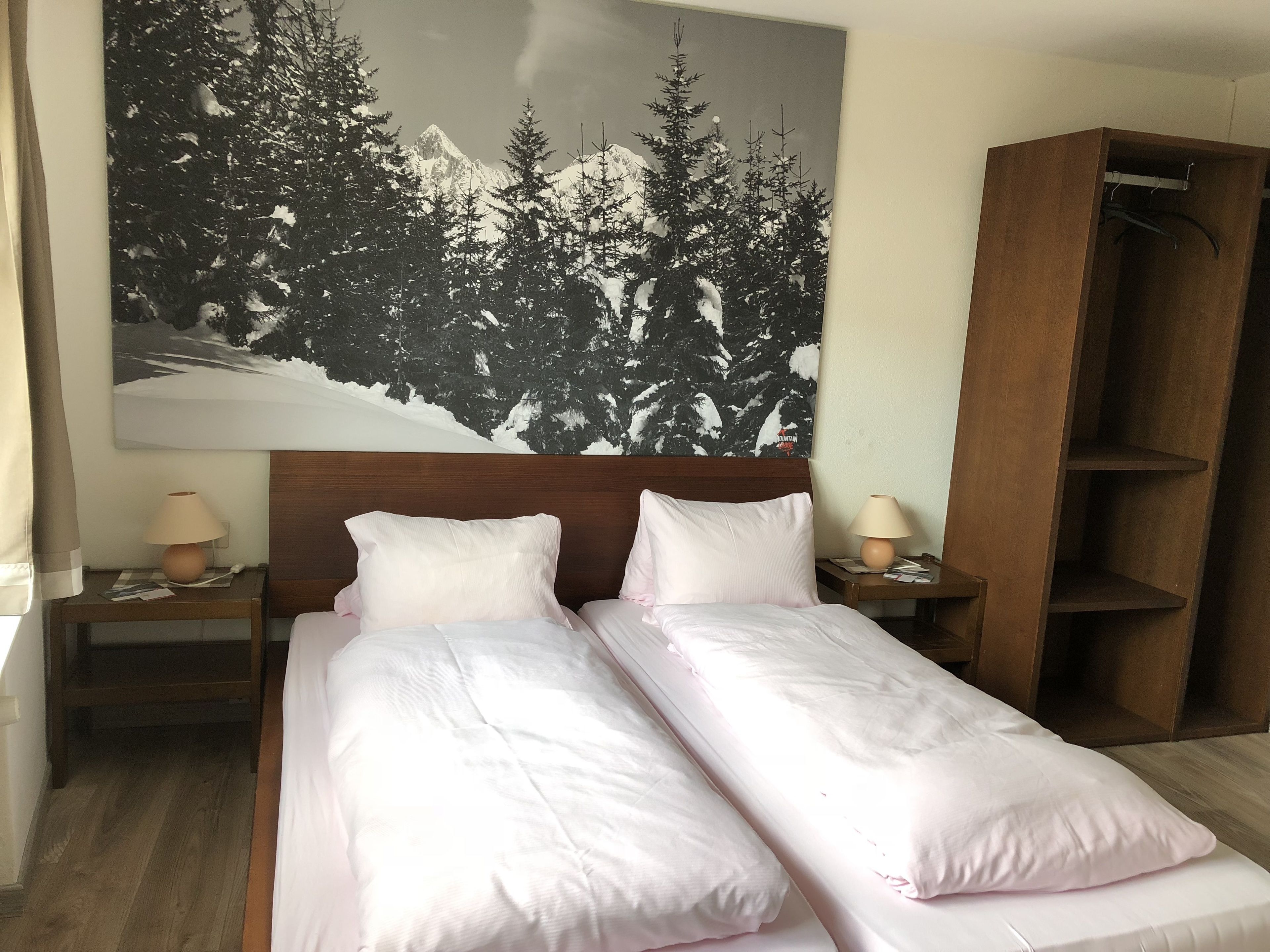 Een hotelkamer met twee enkele bedden, een houten hoofdbord, een nachtkastje met een lamp, een kledingkast en een groot schilderij van een besneeuwd bos.