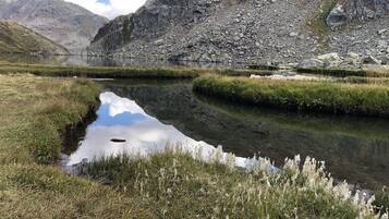 Eine natürliche Landschaft mit einem ruhigen See, grünen Wiesen und felsigen Bergen im Hintergrund.