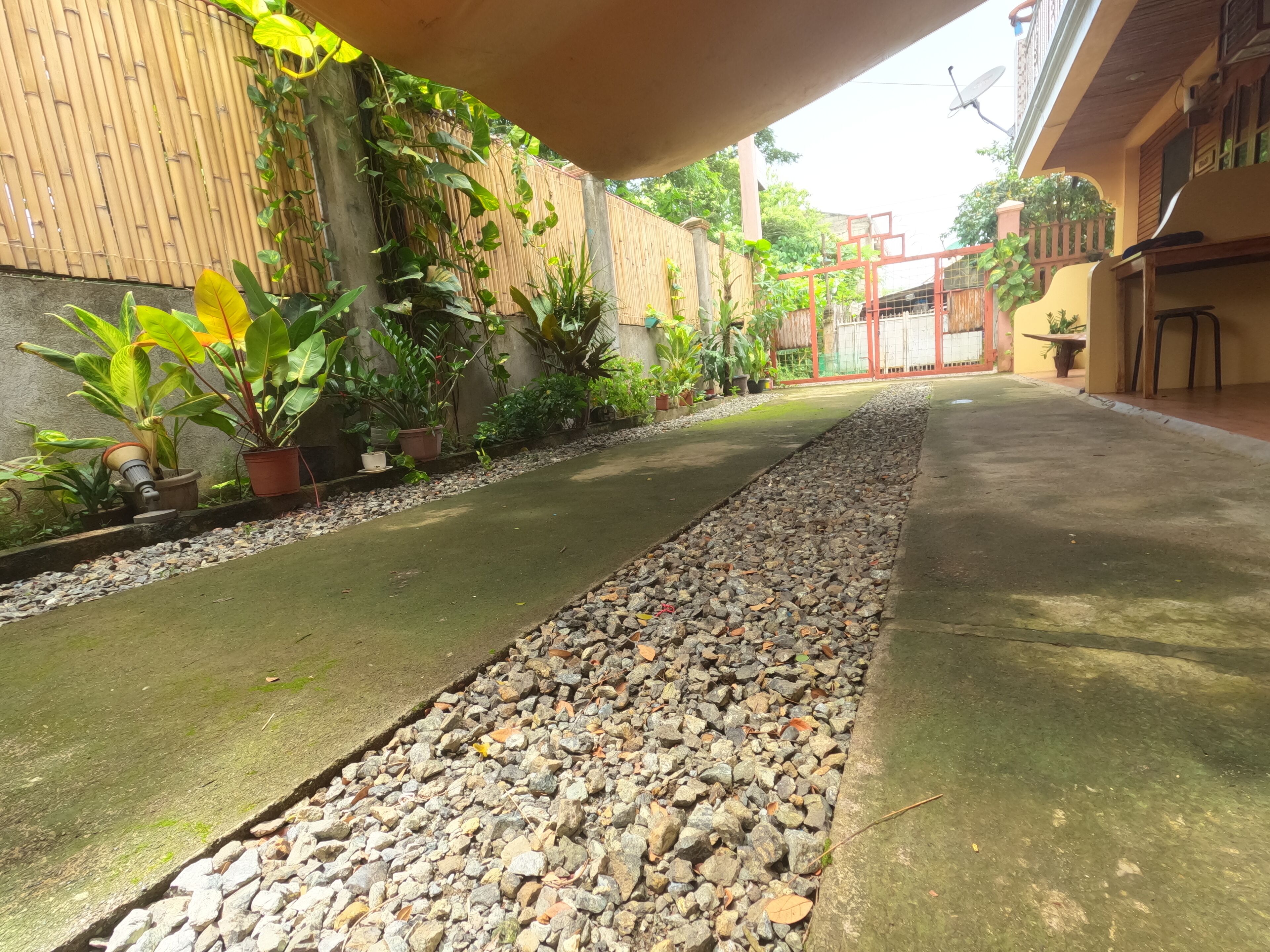 A narrow pathway with a concrete surface, flanked by a bamboo fence and various potted plants.