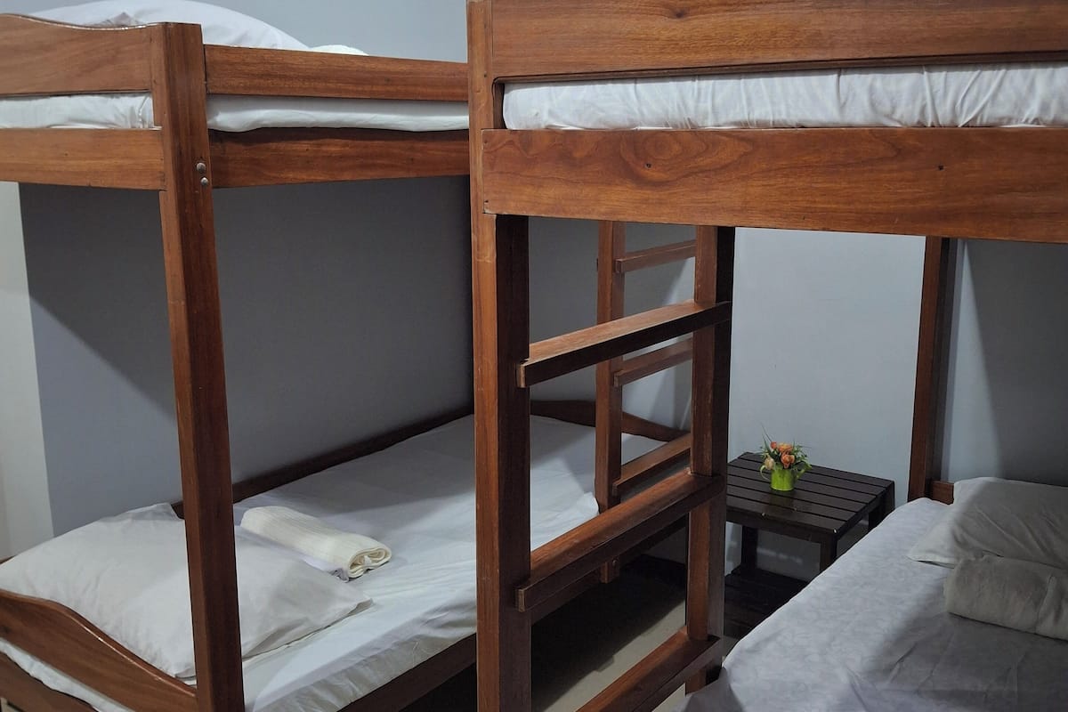 A room with two bunk beds, a small table with a plant, and a window.