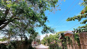 A narrow, paved road flanked by bamboo fences and lush greenery, leading to a residential area with houses and a clear blue sky. - Woodside Rogers Residence (Puerto Princesa)