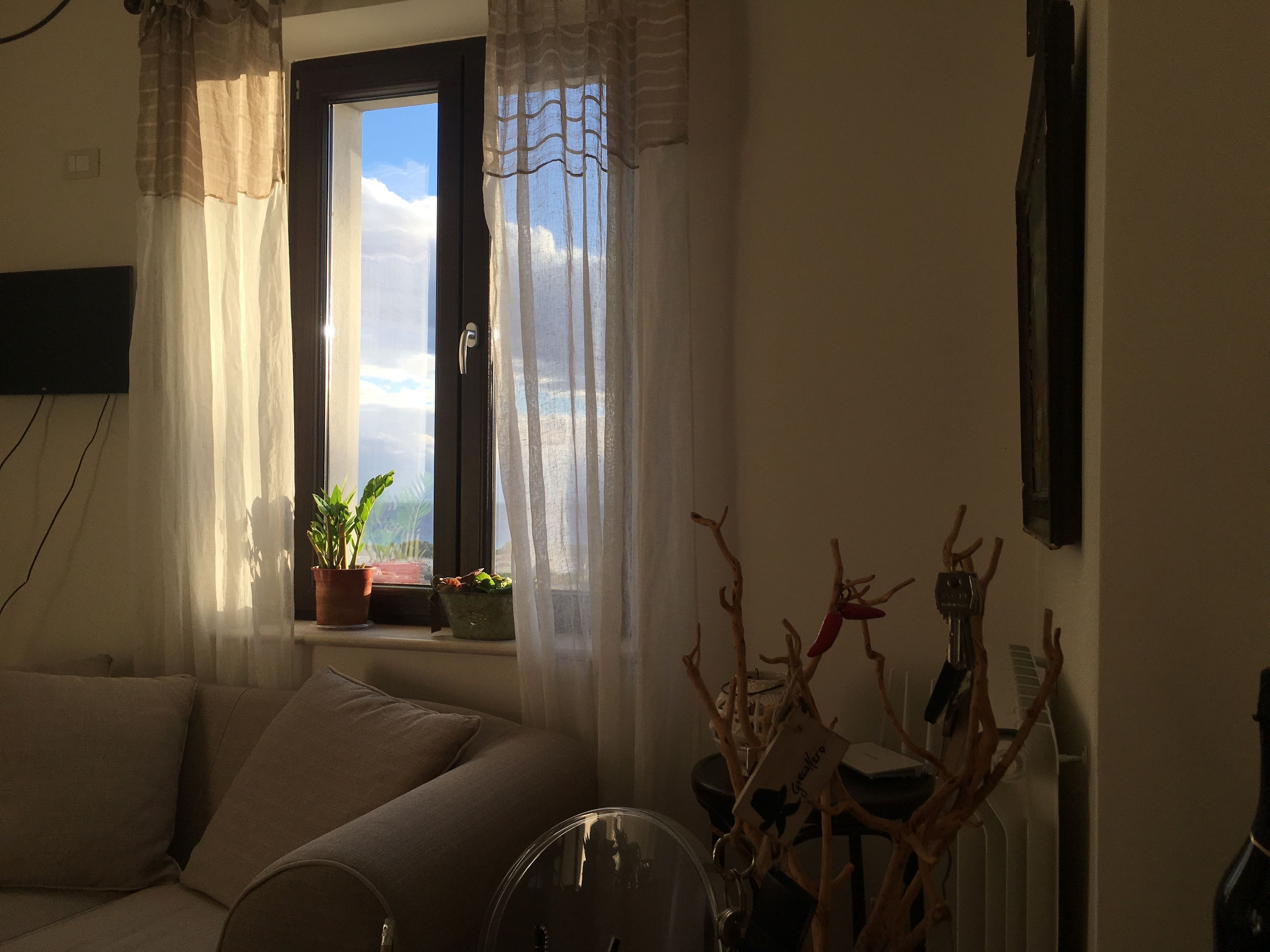 Un salon avec un canapé, une fenêtre ornée de rideaux légers et une plante en pot posée sur le rebord de la fenêtre.