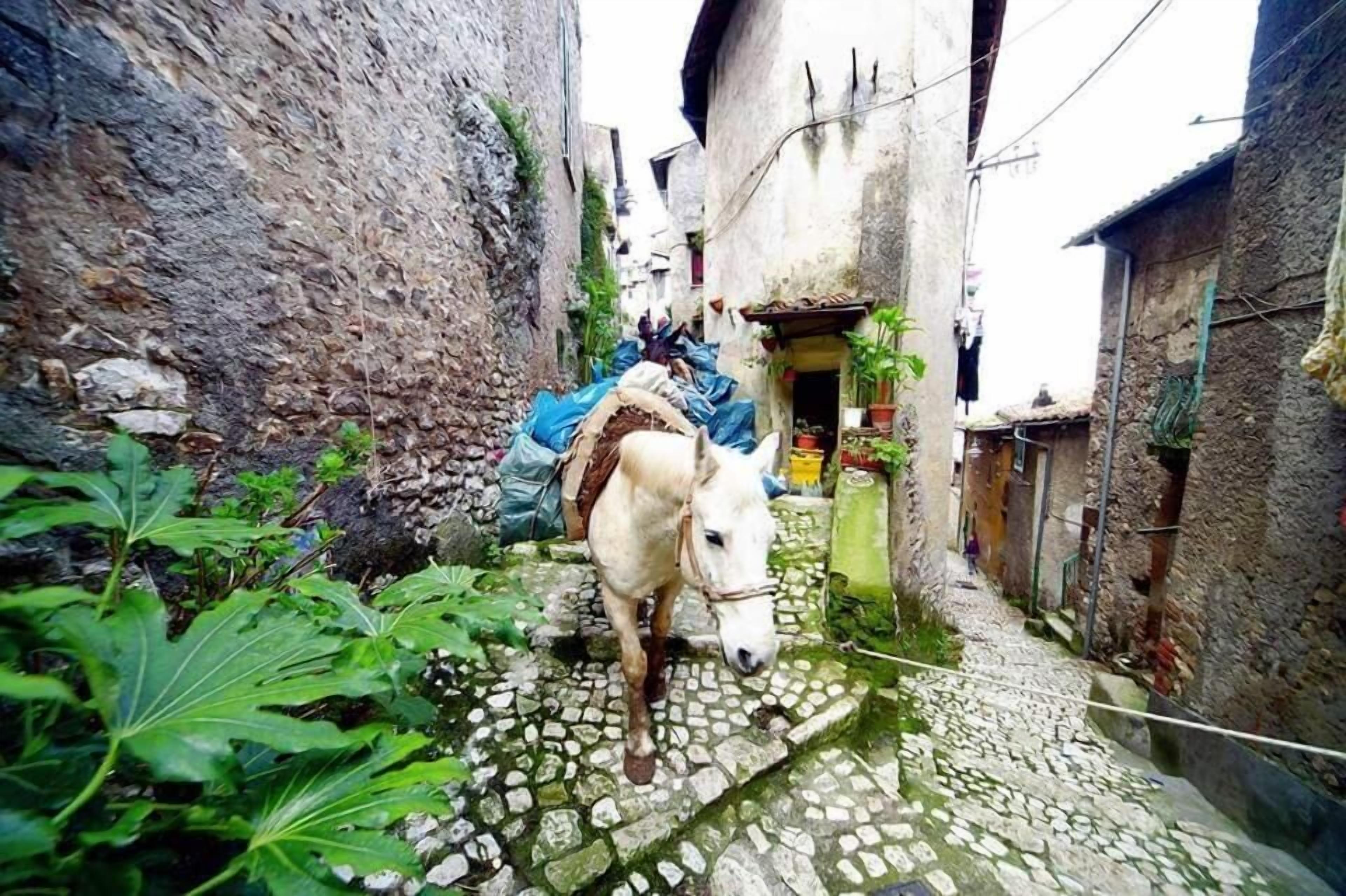 Un estrecho callejón adoquinado con un caballo y una persona a lomos.