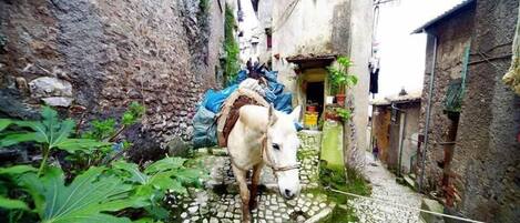 Un estrecho callejón adoquinado con un caballo y una persona a lomos.