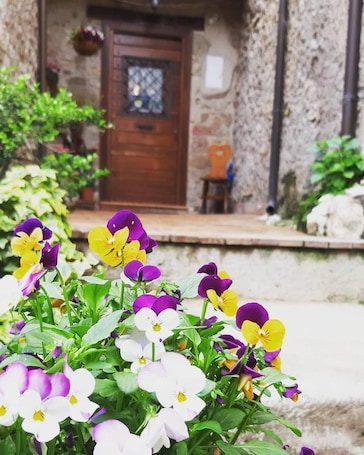 A garden with purple and white flowers in front of a stone building with a wooden door and a window.