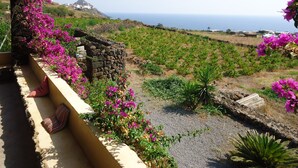 A balcony with a stone wall, vibrant bougainvillea flowers, and a view of the sea and distant buildings.