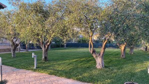 A landscaped area with a paved walkway, trees, and a potted plant.
