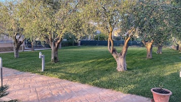 Blick auf den Garten