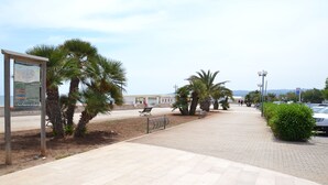 A paved walkway with palm trees and a signboard. - B&B Cuore di Vieste (Vieste)