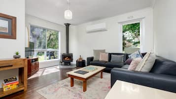 Smart TV, fireplace, video games, books