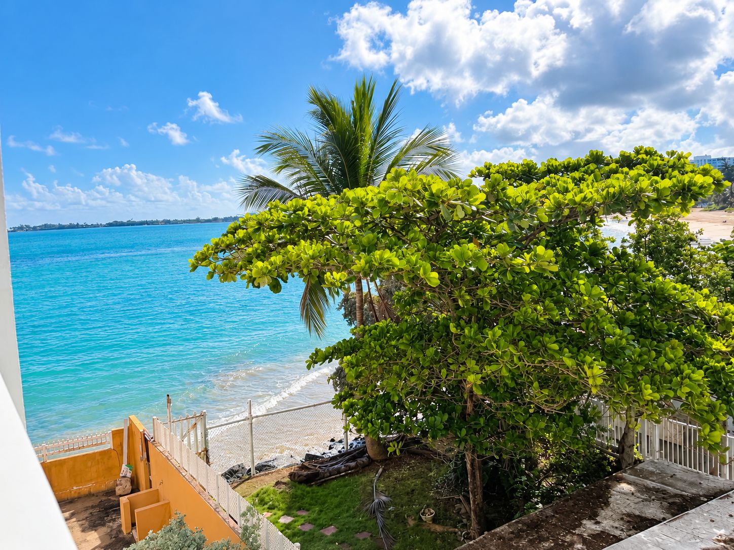 A beachfront property with a view of the ocean, a palm tree, and a fenced area with steps leading down to the beach.
