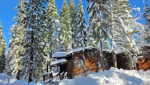 A cabin surrounded by tall snow-covered trees, with a clear blue sky above.