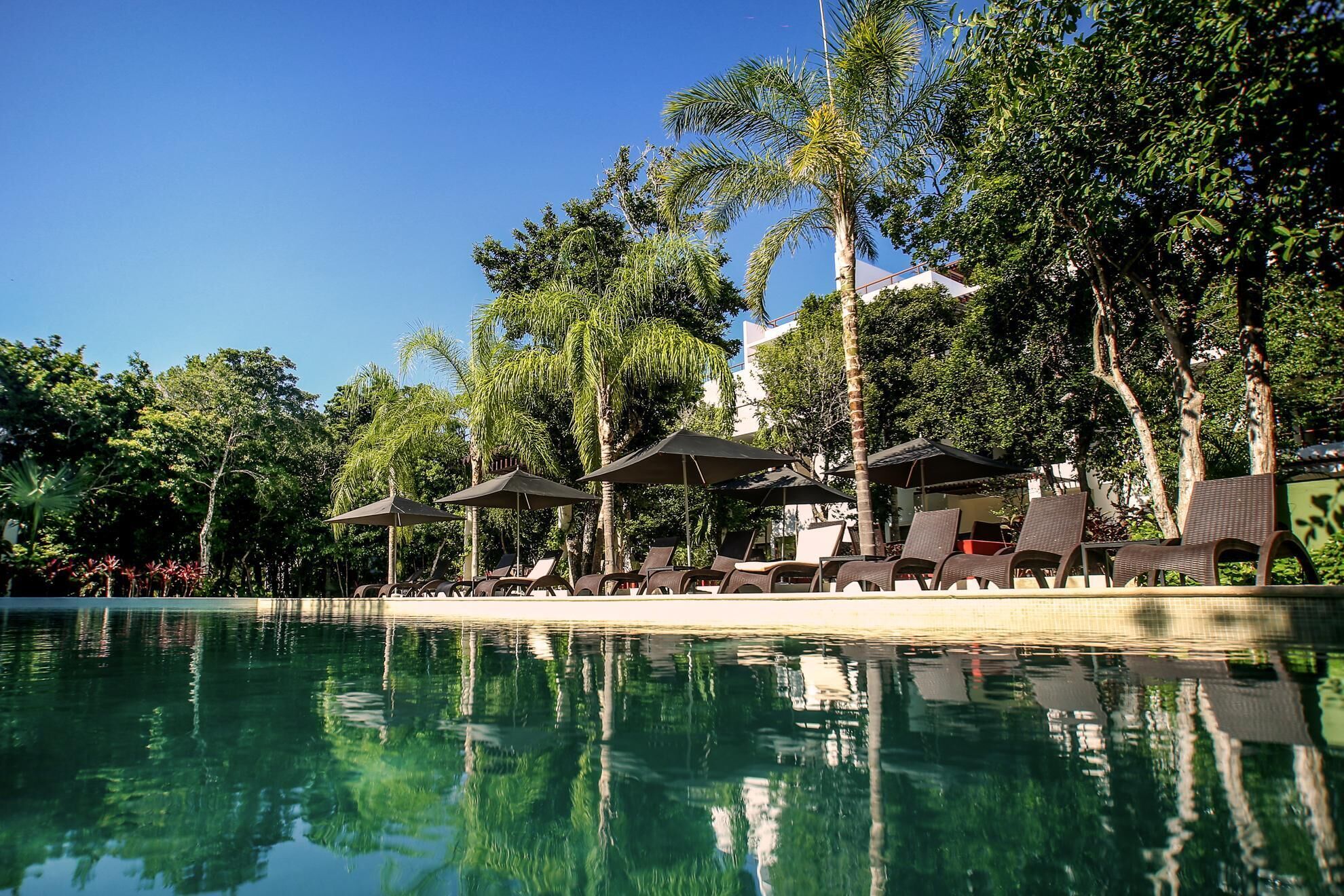 A poolside area with lounge chairs and umbrellas, surrounded by palm trees and a clear sky.