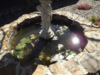 A Cottage with a View at Tudor Ridge