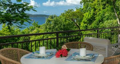 Terrahawk: North Shore Location! Walk to Gibney Beach!