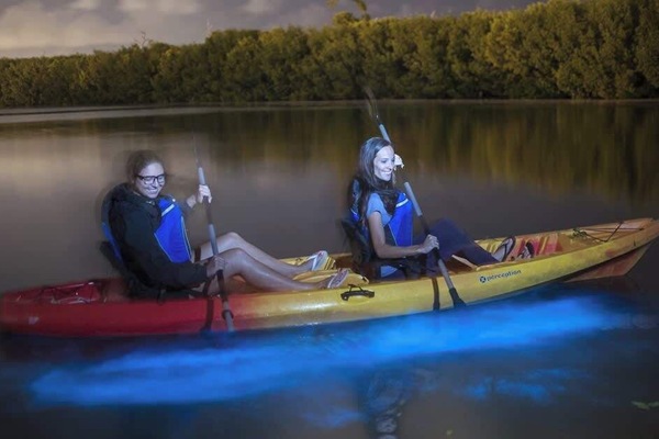 Bio Bay Night Kayaking