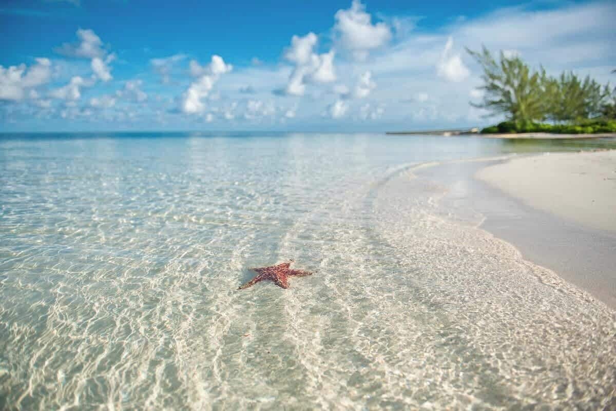 بالقرب من الشاطئ