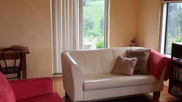 Smart TV, DVD player, books, video library
