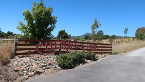 Une enseigne en bois portant le nom « CHERRY TOP » en grandes lettres, entourée de verdure et sous un ciel dégagé.