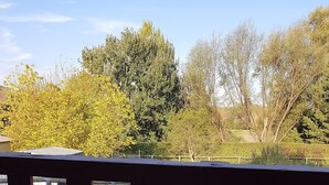 A green bottle on a wooden deck with a view of trees and a fence in the background. - Ideal for families and groups (Buchan)