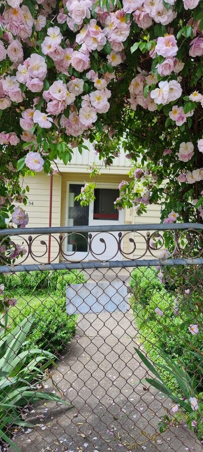 Ideal for families and groups