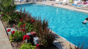 En swimmingpool med liggestole og et lille haveområde med røde blomster.
