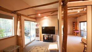 TV, fireplace, DVD player, books