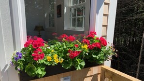 Caja de madera con diversos tipos de flores en un balcón.