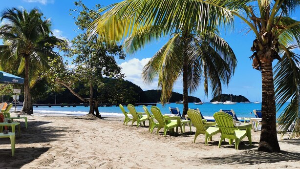 A beach with rows of green chairs and a palm tree. - Hibiscus: calm and breathtaking views for this T3 overlooking the bay of Fort de France (Les Trois-Îlets)