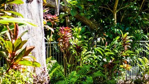 Un sendero en un jardín con diversas plantas y una valla metálica.