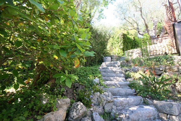 المنطقة المحيطة بالمنشأة