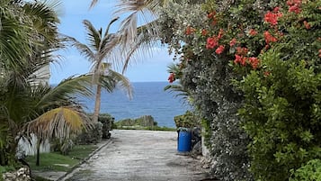 Un sendero de grava que lleva a una playa con palmeras y flores rojas.