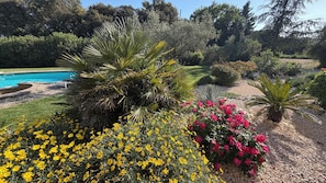 Piscina externa