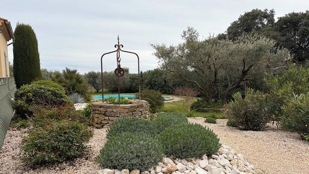 A garden with a stone fountain, a swimming pool, and various shrubs.