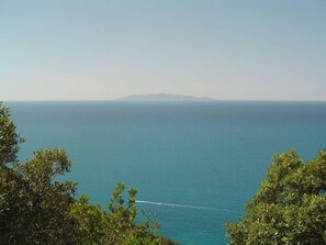 Une vue côtière avec un ciel dégagé, une étendue de terre visible au loin et une végétation luxuriante au premier plan.