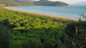 A coastal landscape with dense green vegetation and a beach. - Beautiful villa overlooking the sea in the Maremma National Park (Talamone)