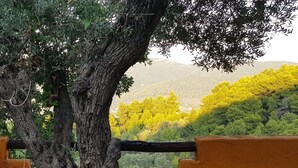A tree with a textured trunk and branches, set against a backdrop of a hillside with green and yellow foliage. - Villa Pegasus Private pool villa ideal for a romantic get-away (Skopelos)