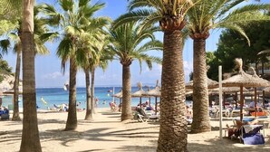 A beach with palm trees, sun loungers, and a wooden walkway.